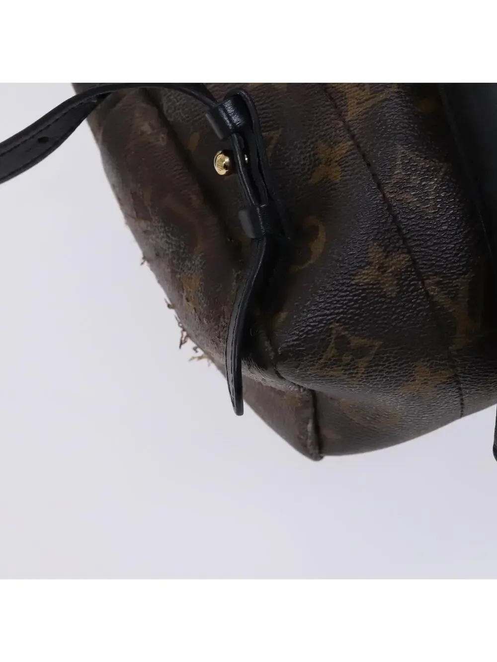 Louis Vuitton Palm Springs Pm Backpack #344184L52B